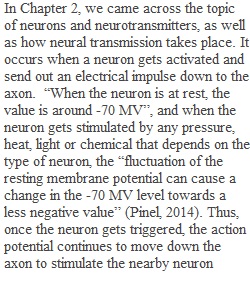 Discussion 2 Chapter 2 Neurotransmitters